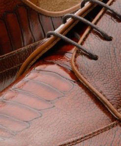 Newproj.shop38aae0107d 5