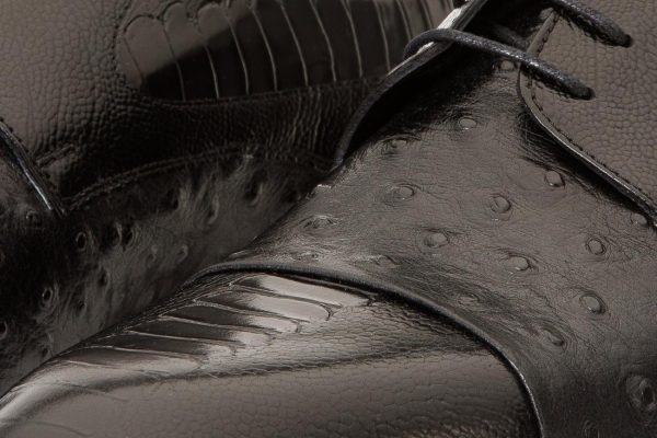 Newproj.shopa699b01c09 4