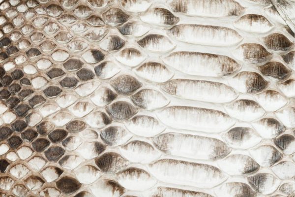 Newproj.shopb9fe2ab233 3